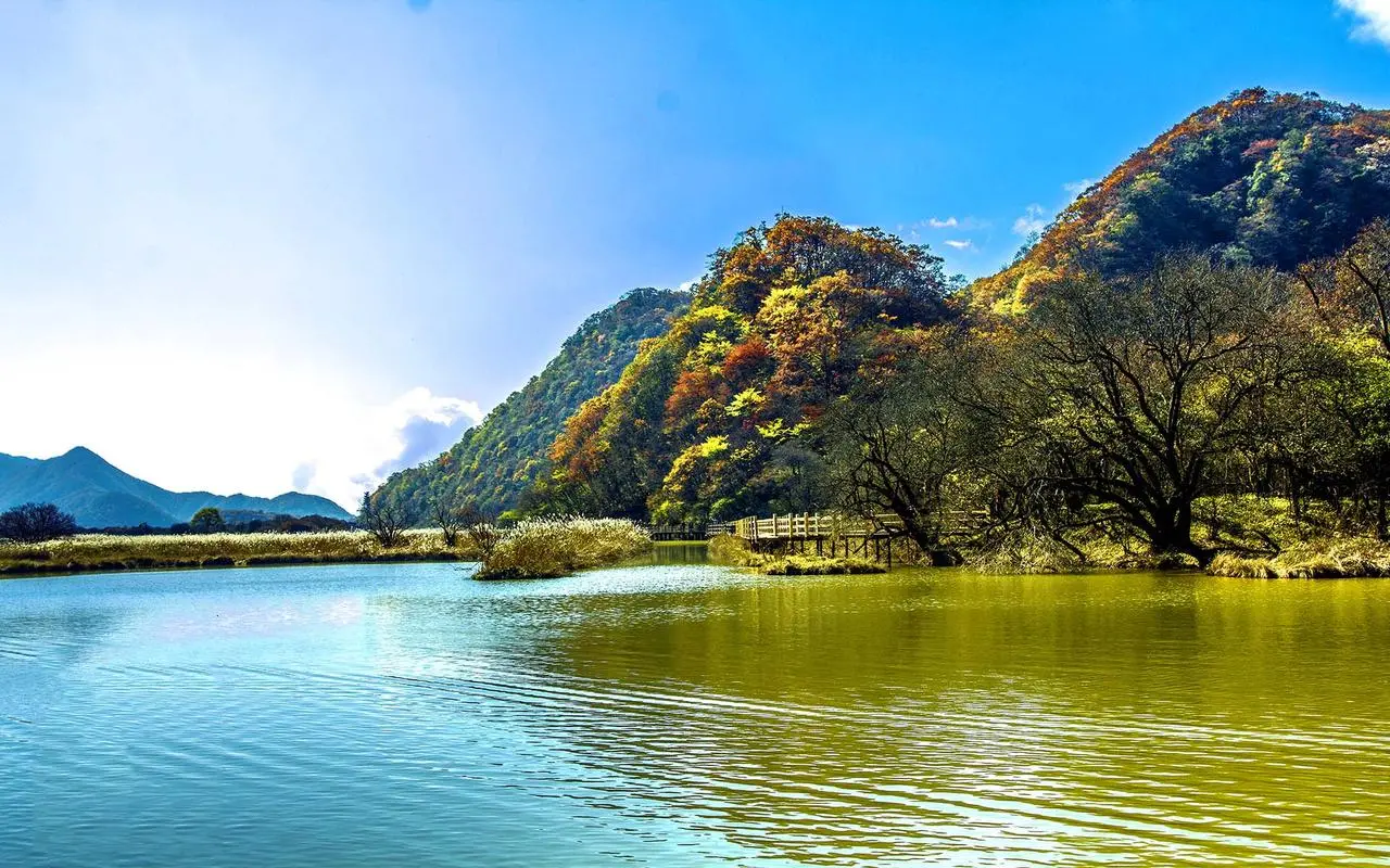 网络化高性能智慧城市